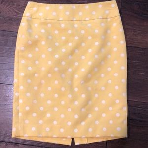 Ann Taylor Petite Skirt